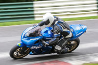 Lower Group Blue Bikes